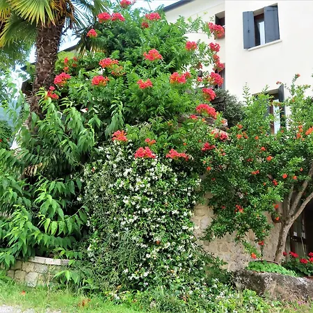 罗坎达斯卡拉波斯塔住宿加早餐旅馆 * 博尔索-德尔格拉帕