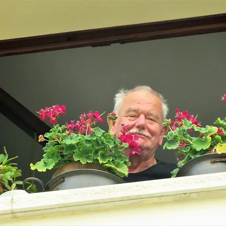 Alojamento de Acomodação e Pequeno-almoço Alla Posta