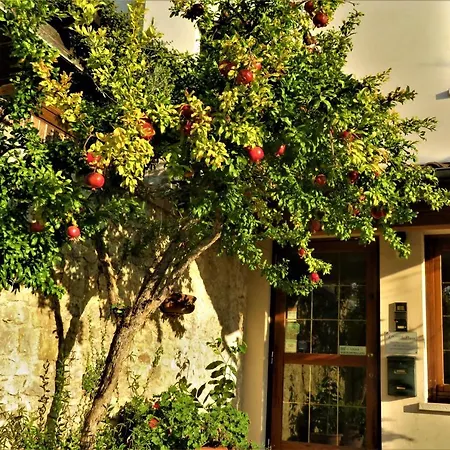 罗坎达斯卡拉波斯塔住宿加早餐旅馆 *