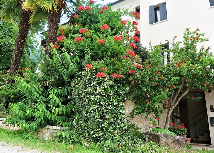 Alla Posta * Borso del Grappa