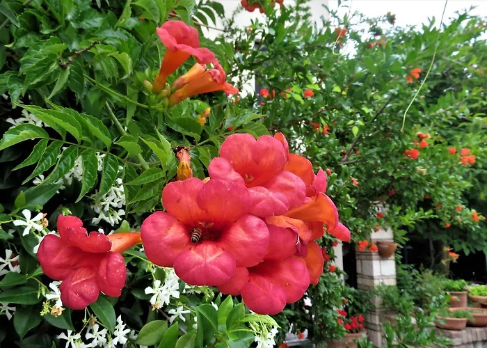 Alla Posta Borso del Grappa