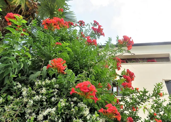 Bed and breakfast Alla Posta Borso del Grappa