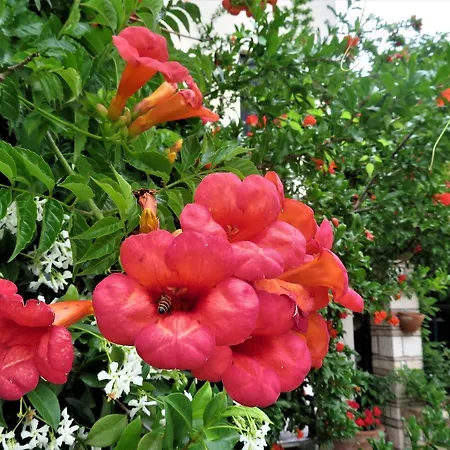 Alla Posta Borso del Grappa