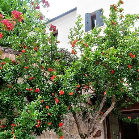 Locanda Alla Posta Bed & Breakfast *