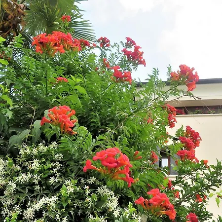 Bed & Breakfast Alla Posta Borso del Grappa