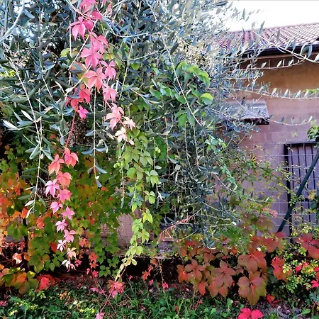 Alla Posta Bed & Breakfast